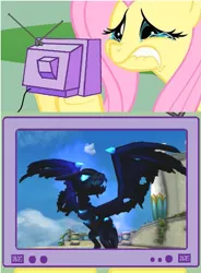 Size: 595x810 | Tagged: crossover, derpibooru import, exploitable meme, fluttercry, fluttershy, meme, safe, skylanders, tv meme, vathek, wyvern