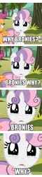 Size: 458x1898 | Tagged: crying, derpibooru import, sad, safe, sweetie belle, tenso, why