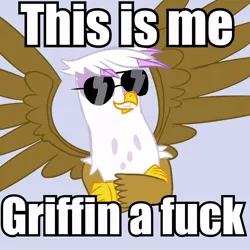 Size: 960x960 | Tagged: safe, derpibooru import, gilda, gryphon, image macro, pun, reaction image, sunglasses, vulgar