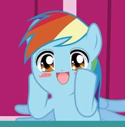 Size: 500x507 | Tagged: applebuck season, cute, dashface, derpibooru import, draw on me, edit, edited screencap, rainbow dash, safe, screencap, so awesome