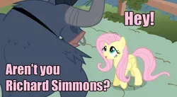 Size: 852x467 | Tagged: safe, derpibooru import, edit, edited screencap, screencap, fluttershy, iron will, minotaur, pegasus, pony, putting your hoof down, dialogue, duo, duo male and female, family guy, female, male, mare, necktie, nose piercing, nose ring, piercing, richard simmons