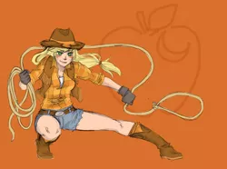 Size: 900x668 | Tagged: artist needed, source needed, safe, derpibooru import, applejack, action pose, humanized, lasso, rope