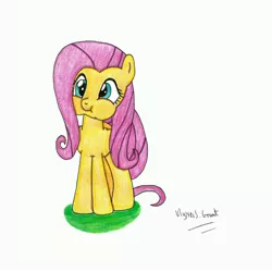 Size: 4501x4500 | Tagged: safe, artist:ulyssesgrant, derpibooru import, fluttershy, absurd resolution, puffy cheeks