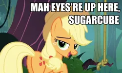 Size: 858x516 | Tagged: safe, derpibooru import, edit, edited screencap, screencap, applejack, earth pony, pony, spike at your service, bedroom eyes, caption, female, image macro, mare, plot, rope