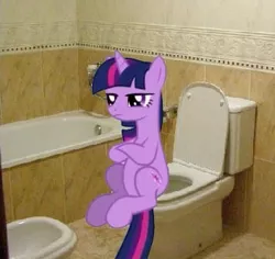 Size: 355x335 | Tagged: but why, derpibooru import, irl, photo, ponies in real life, potty, potty time, safe, toilet, toilet sparkle, twilight sparkle