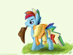 Size: 1200x900 | Tagged: safe, artist:nolycs, derpibooru import, applejack, rainbow dash, appleblitz (straight), appledash, blitzabetes, carrying, cute, female, grass, half r63 shipping, male, rainbow blitz, rule 63, rule63betes, shipping, sleeping, straight