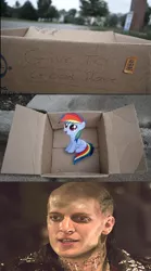 Size: 502x900 | Tagged: clancy brown, dashie meme, derpibooru import, evil people finding dash meme, exploitable meme, highlander, meme, rainbow dash, safe, the kurgan, this will end in tears