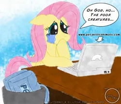 Size: 1773x1523 | Tagged: safe, artist:arbok-x, derpibooru import, fluttershy, pegasus, pony, arrow, bag, computer, crying, desk, female, floppy ears, hoof over mouth, laptop computer, looking at something, mare, peta, sad, shocked, solo, speech bubble, teary eyes, text, trash can