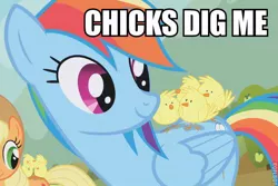 Size: 600x400 | Tagged: safe, derpibooru import, edit, edited screencap, screencap, applejack, rainbow dash, pegasus, pony, fall weather friends, caption, chick, chick magnet, chicks, female, image macro, implied lesbian, mare, pun, solo focus, text, visual pun, watermark