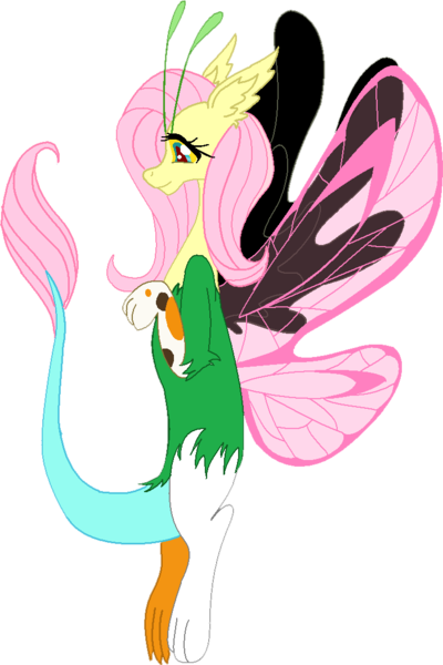 Size: 744x1116 | Tagged: artist:cdla, butterfly wings, derpibooru import, draconequified, draconequus, female, floating, flutterequus, fluttershy, safe, simple background, solo, species swap, transparent background, wings