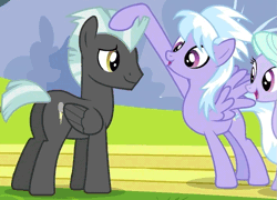 Size: 713x514 | Tagged: animated, blinking, cloudchaser, cropped, cute, derpibooru import, flitter, head rub, hurricane fluttershy, loop, lucky bastard, :o, open mouth, petting, safe, screencap, smiling, thunderlane