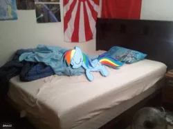 Size: 719x539 | Tagged: safe, artist:jblee22, derpibooru import, derpy hooves, rainbow dash, pegasus, pony, bed, blanket, eyes closed, fan, irl, photo, pillow, ponies in real life, poster, sheet, sleeping, smiling, vector