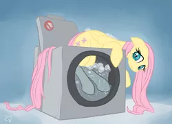 Size: 1904x1371 | Tagged: artist:gsphere, breaking the law, derpibooru import, fluttershy, gradient background, safe, solo, washing machine, wet, wet mane