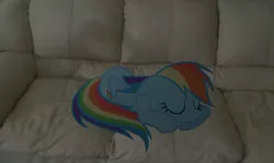 Size: 3646x2173 | Tagged: safe, artist:segagenesis4100, derpibooru import, rainbow dash, pony, couch, high res, irl, photo, ponies in real life, sleeping, vector