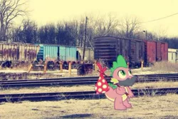 Size: 500x333 | Tagged: artist:snakeman1992, beard, derpibooru import, irl, photo, ponies in real life, safe, spike, train yard, vector