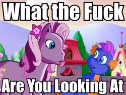 Size: 512x385 | Tagged: derpibooru import, g3, image macro, safe, spike, the princess promenade, vulgar, wysteria