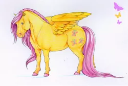 Size: 2514x1689 | Tagged: artist:anniehyena, derpibooru import, fluttershy, realistic, safe, traditional art