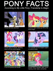 Size: 960x1280 | Tagged: safe, derpibooru import, edit, edited screencap, screencap, ace, ace point, aloe, angel bunny, apple bloom, applejack, berry punch, berryshine, bon bon, carrot top, chief thunderhooves, derpy hooves, descent, diamond tiara, fluttershy, frederic horseshoepin, gilda, golden harvest, hoity toity, lotus blossom, lyra heartstrings, manny roar, mayor mare, minuette, nightshade, octavia melody, opalescence, photo finish, pinkie pie, prince blueblood, quarterback, rainbow dash, rarity, sapphire shores, scootaloo, silver spoon, snails, snips, soarin', spike, spitfire, steven magnet, sweetie drops, trixie, twilight sparkle, twist, vinyl scratch, dragon, earth pony, gryphon, manticore, pegasus, pony, feeling pinkie keen, green isn't your color, hearts and hooves day (episode), the best night ever, caption, chart, clothes, costume, facts, female, hearts and hooves day, long neck, male, mare, pinkie sense, royal guard, score, shadowbolts, shadowbolts costume