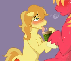 Size: 960x830 | Tagged: suggestive, artist:hasana-chan, derpibooru import, edit, big macintosh, braeburn, earth pony, pony, applecest, blushing, braemac, gay, incest, male, not porn, shipping, soda, stallion