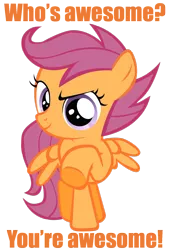 Size: 900x1325 | Tagged: safe, derpibooru import, scootaloo, pegasus, pony, awesome, caption, female, filly, image macro, looking at you, pointing, reaction image, simple background, solo, transparent background, who's awesome? you're awesome