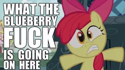 Size: 852x478 | Tagged: apple bloom, blueberry, bridle gossip, caption, derpibooru import, edit, edited screencap, frown, gritted teeth, hiding, image macro, reaction image, safe, scared, screencap, solo, vulgar, wide eyes