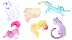 Size: 1000x563 | Tagged: applejack, artist:littlepirate, cat, derpibooru import, fluttershy, mane six, pinkie pie, rainbow dash, rarity, safe, simple background, species swap, twilight sparkle, white background