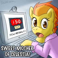 Size: 1000x1000 | Tagged: safe, artist:pluckyninja, derpibooru import, spitfire, pegasus, pony, tumblr:sexy spitfire, clothes, computer, computer keyboard, computer screen, female, mare, mother of celestia, mother of god, robe, solo, stupid sexy spitfire, tumblr, webcam