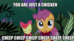 Size: 640x356 | Tagged: apple bloom, caption, chicken, derpibooru import, duo, edit, edited screencap, ei, hub logo, safe, scootachicken, scootaloo, screencap, stare master, the room