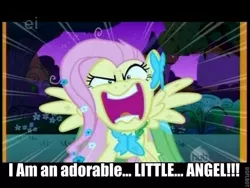 Size: 600x450 | Tagged: angry, caption, cats don't dance, clothes, darla dimple, derpibooru import, dress, edit, edited screencap, ei, flutterrage, fluttershy, gala dress, hub logo, movie quote, roflbot, safe, screencap, solo, the best night ever