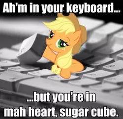 Size: 499x483 | Tagged: safe, derpibooru import, applejack, earth pony, pony, accent, bronybait, female, i hid in your keyboard, image macro, keyboard, mare, stock vector, sugarcube