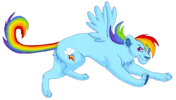 Size: 826x470 | Tagged: artist:kainaa, big cat, derpibooru import, lion, lionbow dash, lioness, lionified, rainbow dash, safe, simple background, solo, species swap, transparent background, wings