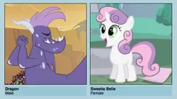 Size: 543x306 | Tagged: safe, derpibooru import, sweetie belle, pony, meme, shipyard lulz, vector