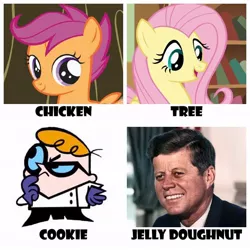 Size: 680x680 | Tagged: american presidents, chicken, cookie, derpibooru import, dexter, dexter's laboratory, donut, fluttershy, fluttertree, human, ich bin ein berliner, irl, jelly doughnut, john f. kennedy, meme, photo, president, safe, scootachicken, scootaloo, text, tree