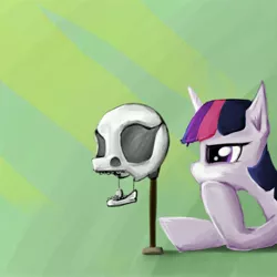 Size: 5000x5000 | Tagged: safe, artist:sharpieboss, derpibooru import, twilight sparkle, absurd resolution, g4, skull, solo