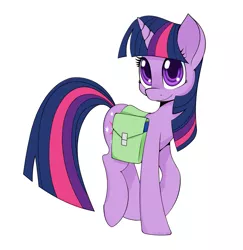 Size: 1351x1390 | Tagged: safe, artist:helhoof, derpibooru import, twilight sparkle, pony, unicorn, bag, female, mare, saddle bag, simple background, smiling, solo, white background