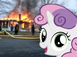 Size: 615x461 | Tagged: safe, derpibooru import, sweetie belle, pony, arson, disaster girl, fire, irl, meme, photo, ponies in real life, pyro belle, selfie, vector