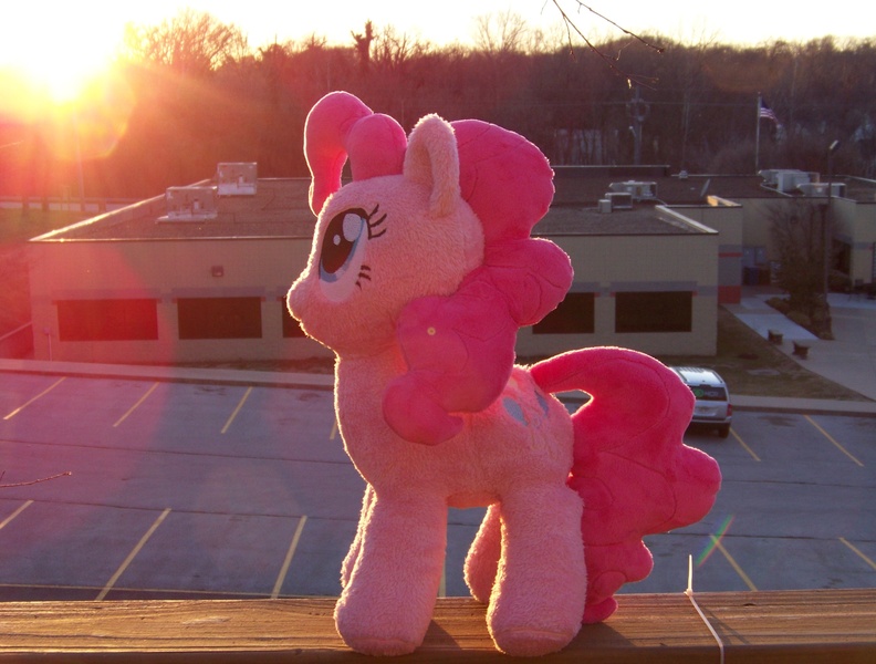 Size: 2921x2214 | Tagged: safe, artist:eebharas, derpibooru import, pinkie pie, pony, fluffy, high res, irl, photo, plushie, solo