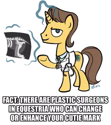 Size: 1024x1152 | Tagged: artist:derkrazykraut, cutie mark, derpibooru import, doctor horse, doctor stable, safe, simple background, transparent background, trivia, x-ray, x-ray picture