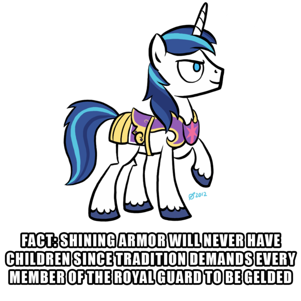 Size: 1024x1024 | Tagged: artist:derkrazykraut, derpibooru import, gelding, headcanon, hilarious in hindsight, jossed, safe, shining armor, sucks to be him, trivia, wrong