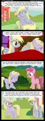 Size: 1068x2847 | Tagged: safe, artist:veggie55, derpibooru import, derpy hooves, dinky hooves, ruby pinch, pegasus, pony, comic, coming of age, equestria's best mother, fanon, feels, female, mare, mother and daughter, older