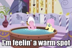 Size: 847x567 | Tagged: safe, derpibooru import, edit, edited screencap, screencap, fluttershy, pinkie pie, earth pony, pony, ponyville confidential, caption, hot tub, image macro, implied pissing, implied urine, mid-life crustacean, out of context, spa, spongebob squarepants