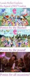 Size: 626x1584 | Tagged: safe, derpibooru import, edit, berry punch, berryshine, babylon 5, brony, bronydom, explaining the fandom, fandom, londo mollari, londo the brony, photo