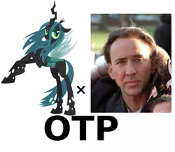 Size: 689x600 | Tagged: derpibooru import, exploitable meme, homestuck, meta, nicolas cage, otp, queen chrysalis, safe