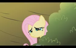 Size: 1024x640 | Tagged: derpibooru import, dragonshy, fluttershy, safe, screencap, steam, youtube caption