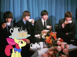 Size: 500x366 | Tagged: safe, artist:deistar, derpibooru import, apple bloom, human, pony, coffee, drink, george harrison, irl, john lennon, paul mccartney, photo, ponies in real life, ringo starr, tea, the beatles, vector