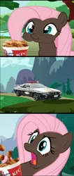 Size: 799x1892 | Tagged: car, chicken, derpibooru import, fluttershy, fried chicken, kfc, lord niggertron approves, nissan, nissan skyline, police, police car, ponies eating meat, racism, safe, sistashy, skyline r34