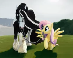 Size: 1000x800 | Tagged: safe, artist:lostdragon01, derpibooru import, fluttershy, oc, gypsy vanner, horse, pegasus, pony, bridle, cute, eye contact, female, field, fluffy, grin, hair over one eye, horse-pony interaction, leash, looking at each other, looking back, male, mare, mouth hold, raised hoof, reins, shyabetes, sideways glance, smiling, spread wings, stallion, tack, unshorn fetlocks, walking, wings