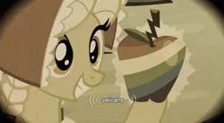 Size: 627x344 | Tagged: derpibooru import, family appreciation day, filly, granny smith, safe, screencap, young granny smith, youtube caption, zap apple