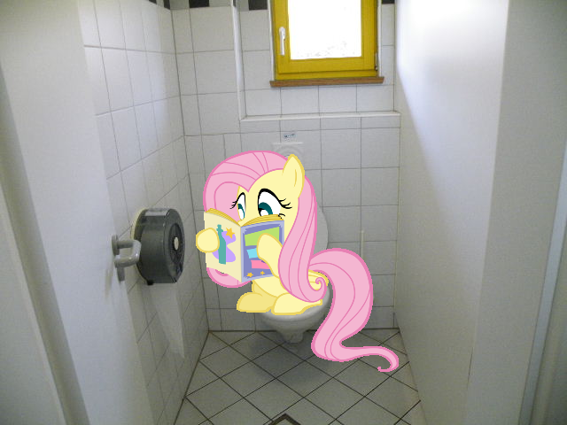 Size: 640x480 | Tagged: safe, derpibooru import, fluttershy, pony, but why, irl, magazine, photo, ponies in real life, reading, toilet