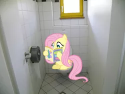 Size: 640x480 | Tagged: safe, derpibooru import, fluttershy, pony, but why, irl, magazine, photo, ponies in real life, reading, toilet